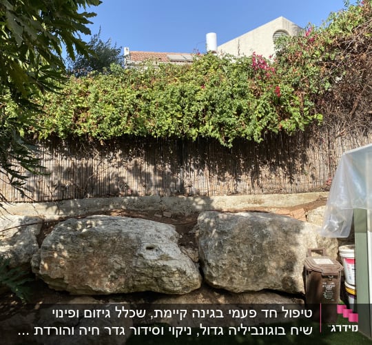 סלעים גדולים, גדר במבוק, צמחייה ירוקה ופרחים